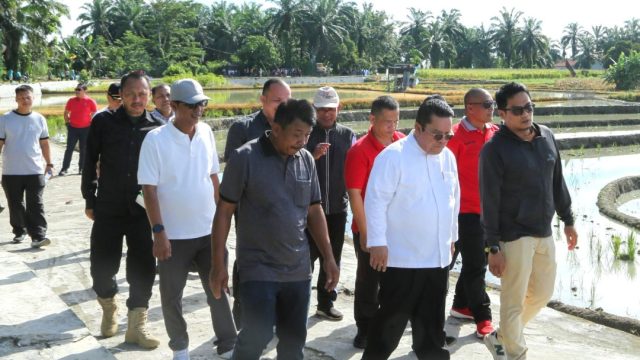 Wali Kota Wesly Silalahi SH MKn Galakan Program Jumat Pagi Bersih Lingkungan